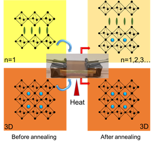 Cation Migration in Physically Paired 2D and 3D Lead Halide Perovskite Films